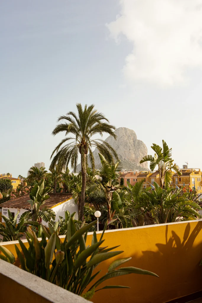 Traectoria Foto2 2 | PONENT EIVISSA SL